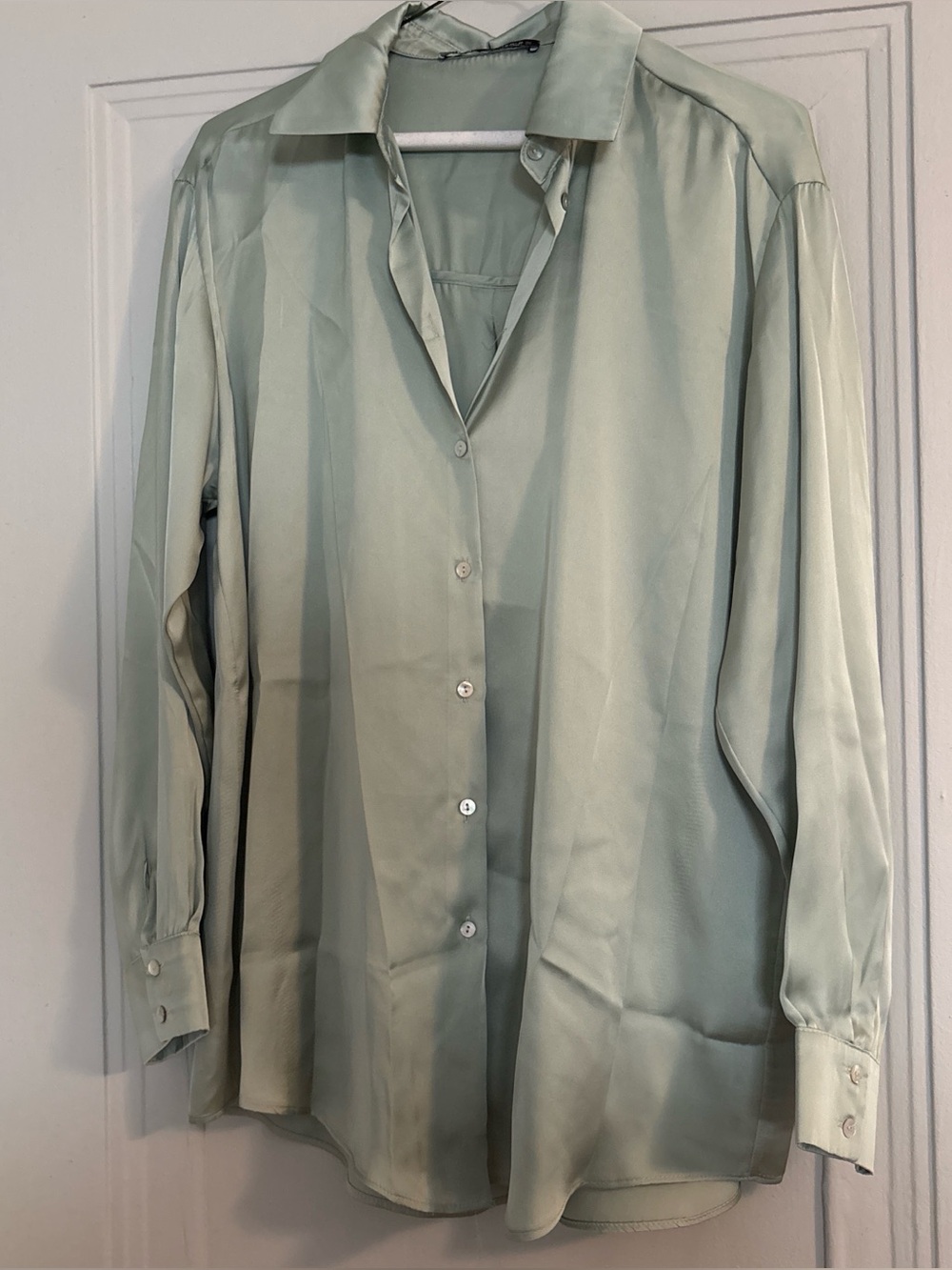 Men's Light Sage Green Button-Up Shirt